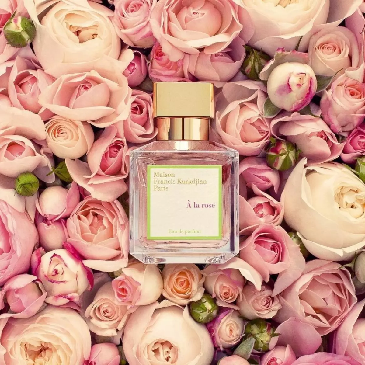 Perfumery Maison Francis Kurkdjian (30 ảnh): Nước hoa Baccarat Rouge 540 Exterit De Parfum và Women Toilette Water, Aromas, mô tả và đánh giá của họ 25294_3