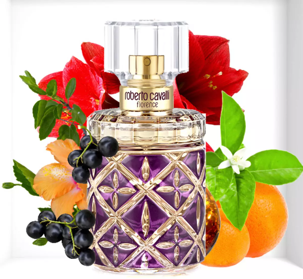 Perfume Roberto Cavalli: Perfume wanita, hanya Cavalli dan air tandas lain, Aromas Roberto Cavalli Eau de Parfum, Paradiso dan Acqua 25296_13