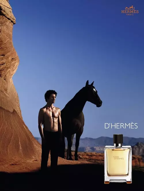 Perfume Hermes: Maji ya Perfume na Wanawake, Twilly d'Hermes, Le Jardin De Monsieur Li, Un Jardin Sur Le Tit na Perfumery nyingine 25305_39