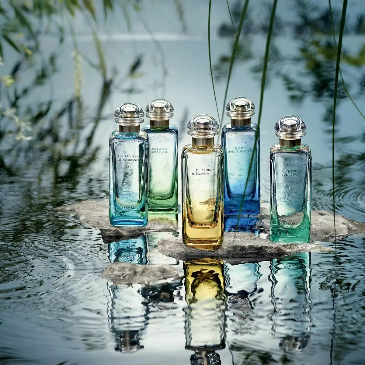Perfume Hermes: Maji ya Perfume na Wanawake, Twilly d'Hermes, Le Jardin De Monsieur Li, Un Jardin Sur Le Tit na Perfumery nyingine 25305_5