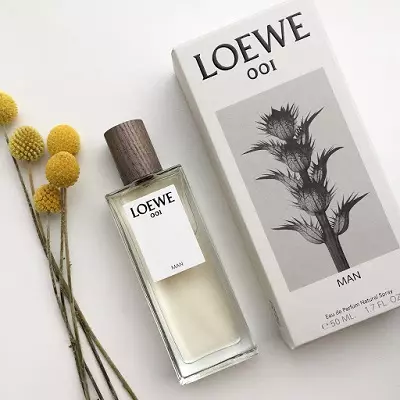 Parfum Loewe: Dámske parfumové a toaletné vody, Aura a Quizas, Loewe 7 a Solo Loewe Ella pre ženy, iné parfumové vône 25325_8