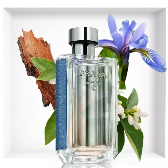 Prada Perfume: ទឹកអប់ស្ត្រីនិងទឹកបង្គន់ស្ករគ្រាប់និង infusion d'iris aroma ស្ករ Carmy ថើប Oru de Parfum និងផលិតផលទឹកអប់ផ្សេងទៀត 25345_14