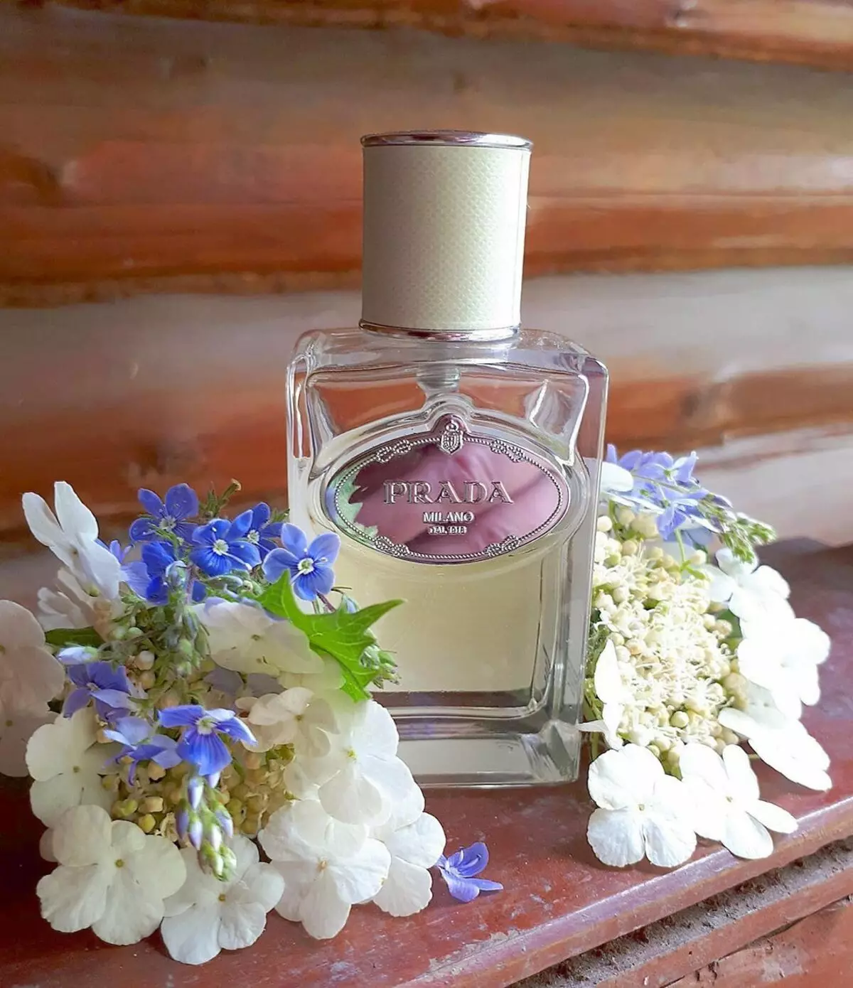 Perfume Prada: Minyak wangi lan jamban wanita, permen lan infus d'iris aroma, kiss permen Eau de Parfum lan produk minyakum liyane 25345_33