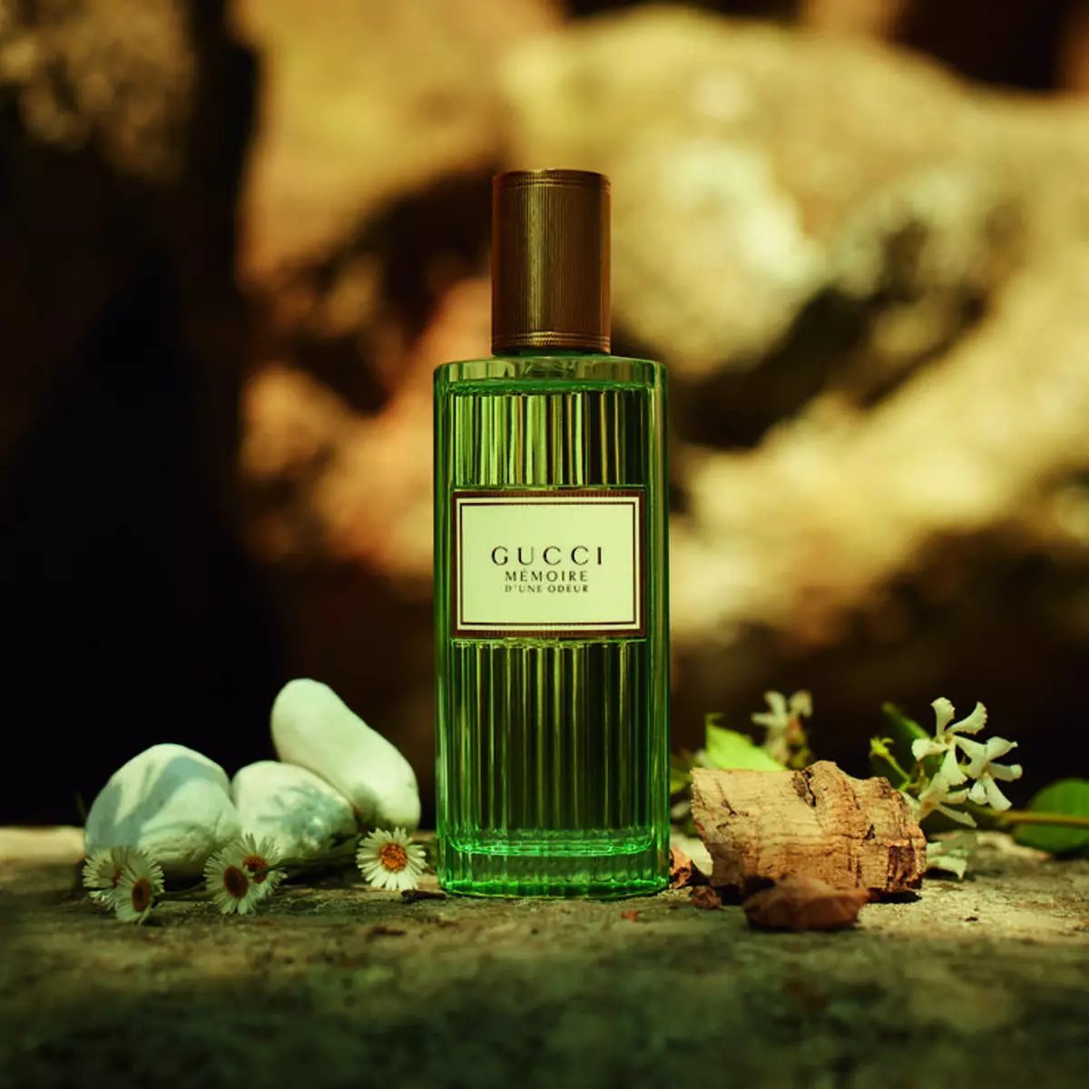 Ženska parfumerija Gucci (40 fotografija): parfem i toaletna voda, flora Gucci i Rush 2, Grivica pour femme i bambus 25357_27