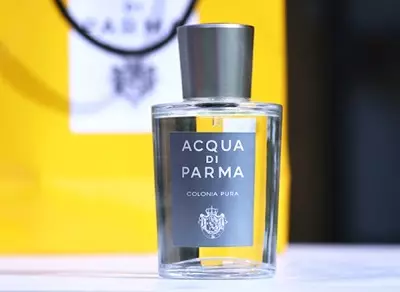 Acqua di Parma Perfume: Roho Colonia na Magnolia Nobile, Blu Mediterraneo Arancia di Capri na ladha nyingine. Mapitio ya Perfumery. 25358_33
