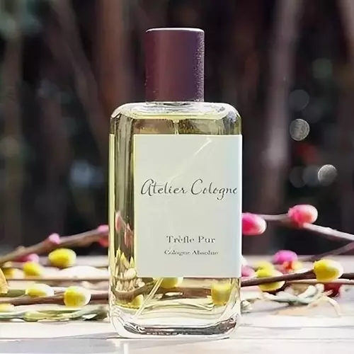 Atelier Cologne parfüm: Cedre Atlas, Clementine Kaliforniában és más parfüm, szantál Carmin, Pomelo Paradis, Orange Sanguine, Vetiver végzetes és csendes-óceáni Lime, Vélemények 25365_42