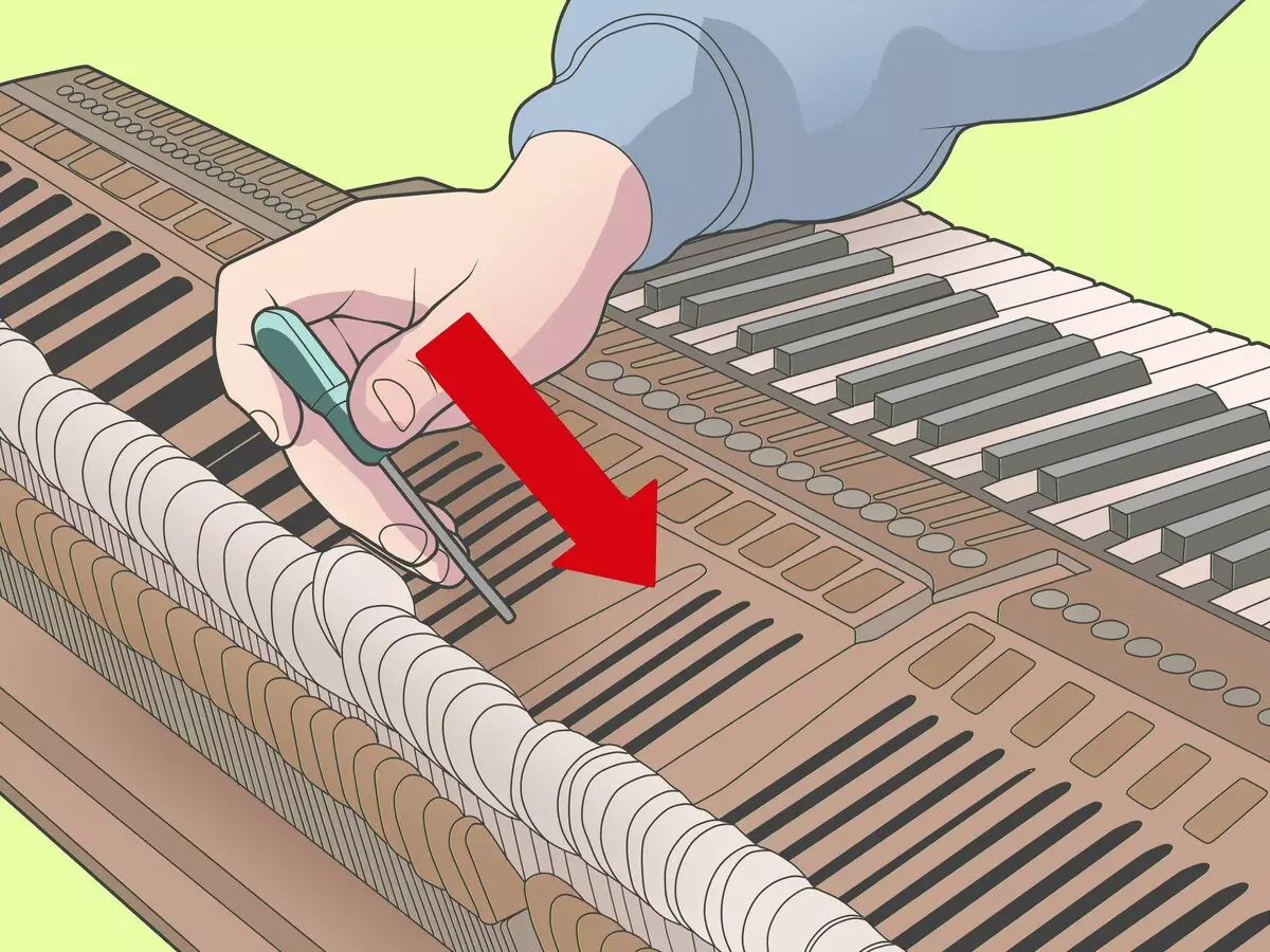 Como desmontar o piano? Desmontaxe do piano para a utilización coas súas propias mans en chatarra de metal na casa. Como desmontar o vello piano en partes para saír? 25407_8