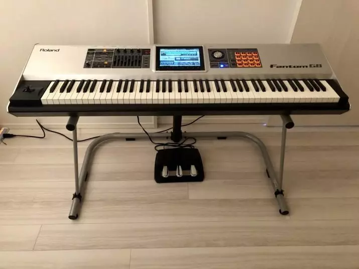 Vad skiljer sig det elektroniska pianot från synthesizer? Vad är bättre att välja att undervisa nybörjare? Kan syntetiseraren ersätta det digitala piano? 25413_13