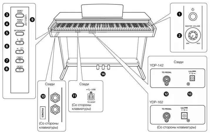 Vad skiljer sig det elektroniska pianot från synthesizer? Vad är bättre att välja att undervisa nybörjare? Kan syntetiseraren ersätta det digitala piano? 25413_22