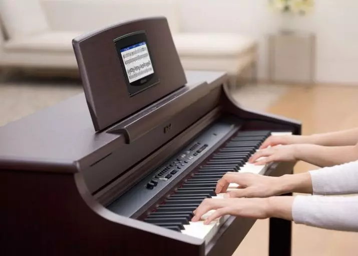 Vad skiljer sig det elektroniska pianot från synthesizer? Vad är bättre att välja att undervisa nybörjare? Kan syntetiseraren ersätta det digitala piano? 25413_25