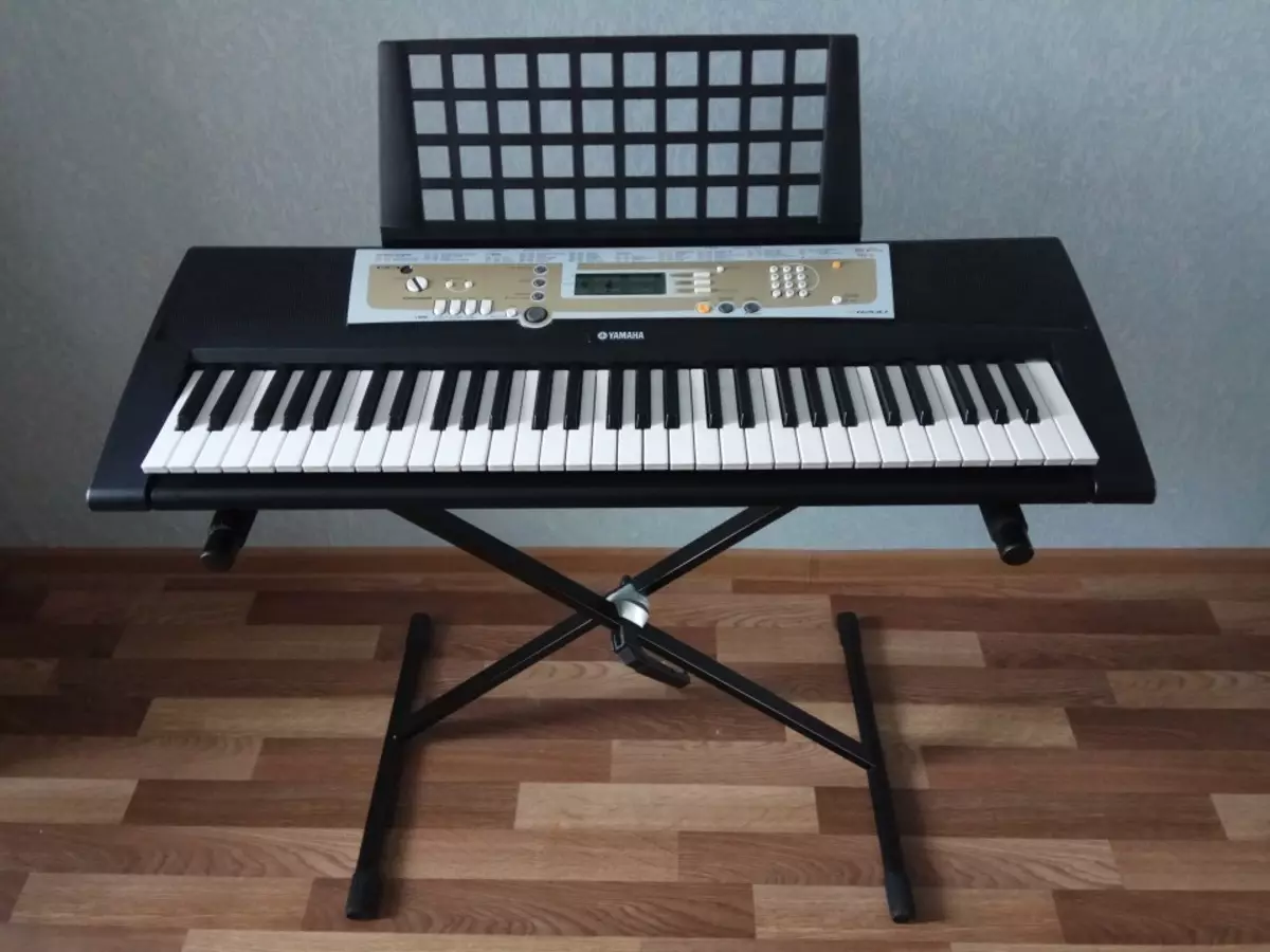 Vad skiljer sig det elektroniska pianot från synthesizer? Vad är bättre att välja att undervisa nybörjare? Kan syntetiseraren ersätta det digitala piano? 25413_5