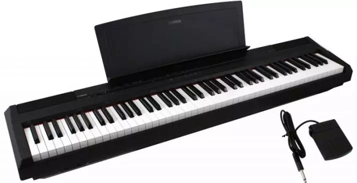 Piano eléctrico: piano de tamaño e as súas características, criterios de selección e características do xogo 25414_10