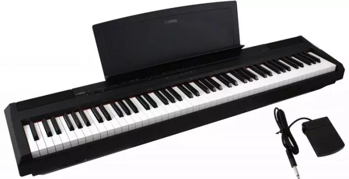 Piano Listrik: Ukuran piano lan fitur, kritéria pemilihan lan fitur game 25414_10