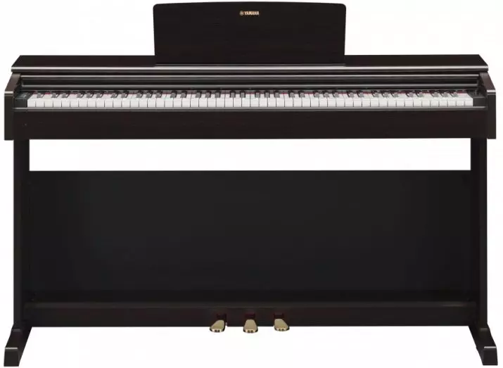 Електричне піаніно: розміри фортепіано і та його особливості, критерії вибору і особливості гри 25414_11