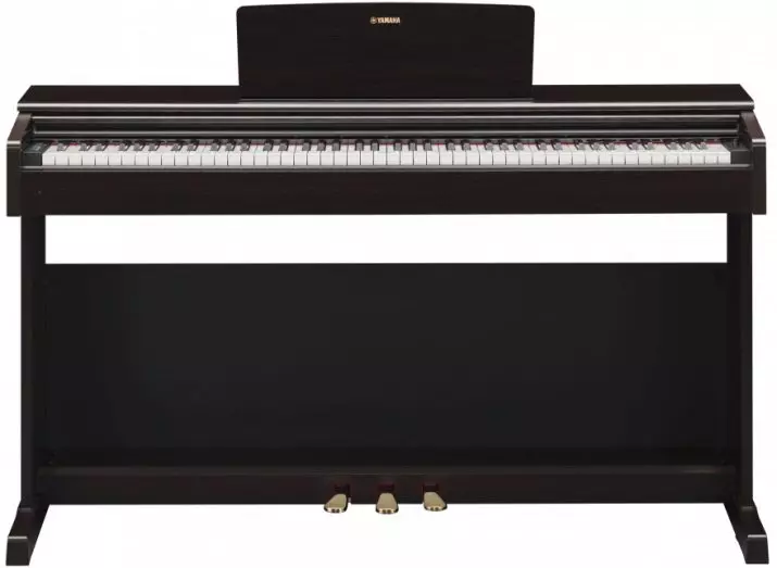 Piano eléctrico: piano de tamaño e as súas características, criterios de selección e características do xogo 25414_11