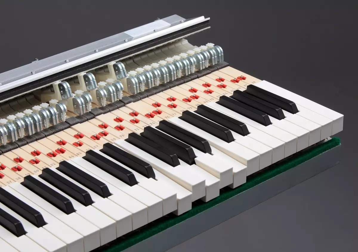 Piano eléctrico: piano de tamaño e as súas características, criterios de selección e características do xogo 25414_20