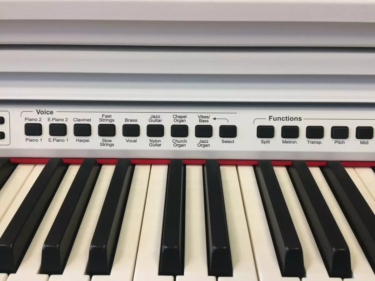 Elektrische piano: Maat Piano en zijn kenmerken, selectiecriteria en kenmerken van het spel 25414_21