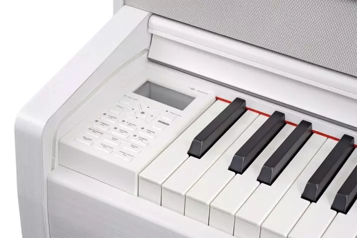 Pianoforte elettrico: dimensione Piano e le sue caratteristiche, criteri di selezione e caratteristiche del gioco 25414_22