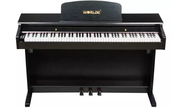 Piano eléctrico: piano de tamaño e as súas características, criterios de selección e características do xogo 25414_24