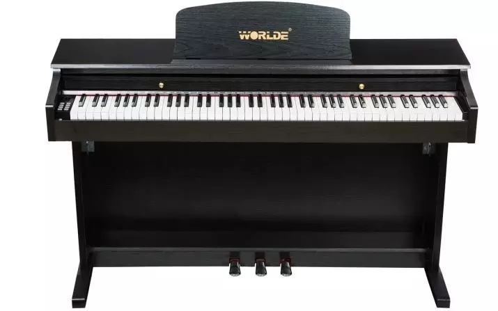 Pianoforte elettrico: dimensione Piano e le sue caratteristiche, criteri di selezione e caratteristiche del gioco 25414_24