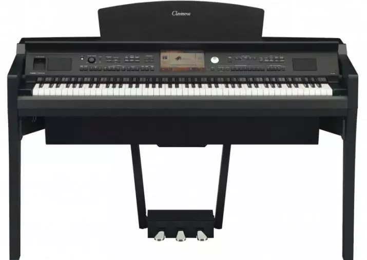 Piano eléctrico: piano de tamaño e as súas características, criterios de selección e características do xogo 25414_25