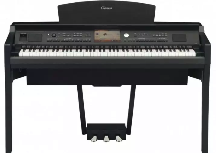 Pianoforte elettrico: dimensione Piano e le sue caratteristiche, criteri di selezione e caratteristiche del gioco 25414_25