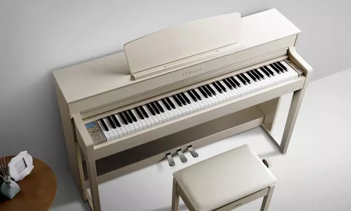 Електричне піаніно: розміри фортепіано і та його особливості, критерії вибору і особливості гри 25414_7
