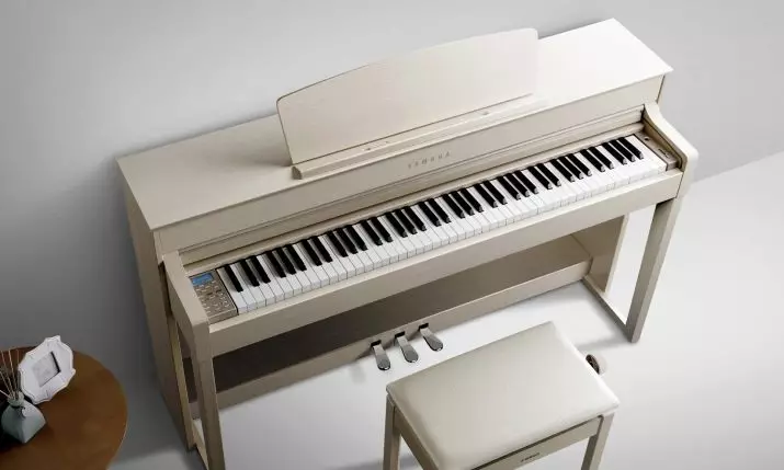 Pianoforte elettrico: dimensione Piano e le sue caratteristiche, criteri di selezione e caratteristiche del gioco 25414_7