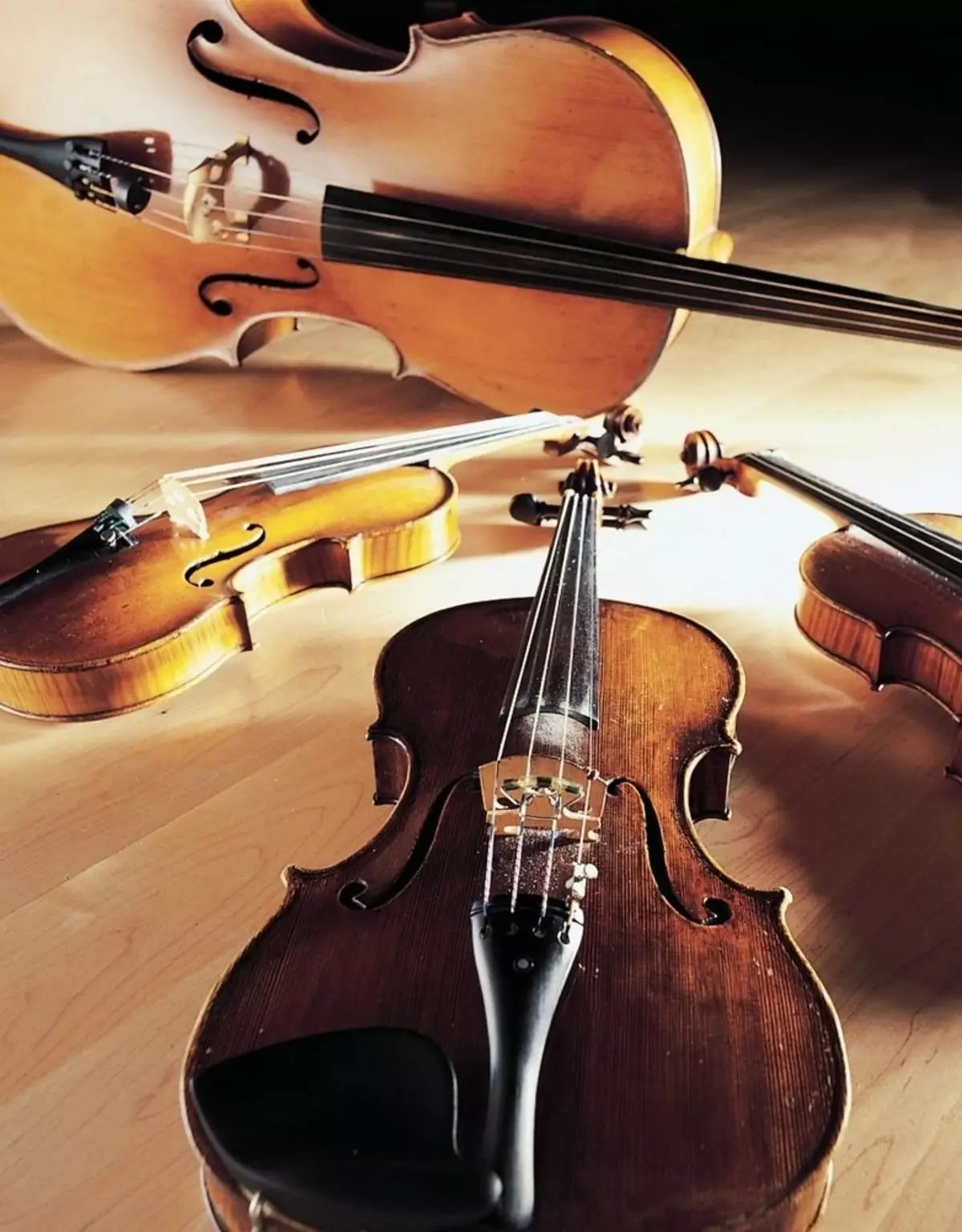 Các violin đắt nhất trên thế giới: Violins thân mến và nổi tiếng tốt nhất của thế giới và các tính năng của họ 25418_14