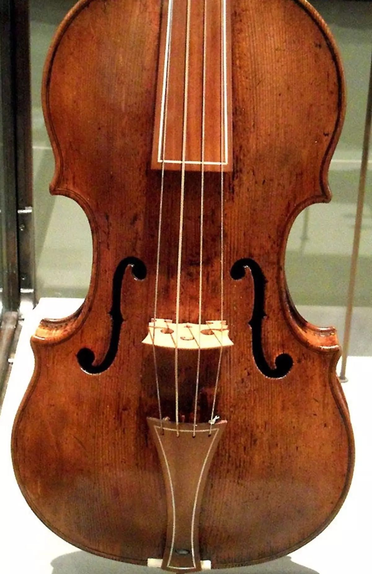 Các violin đắt nhất trên thế giới: Violins thân mến và nổi tiếng tốt nhất của thế giới và các tính năng của họ 25418_16