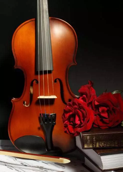 Các violin đắt nhất trên thế giới: Violins thân mến và nổi tiếng tốt nhất của thế giới và các tính năng của họ 25418_17