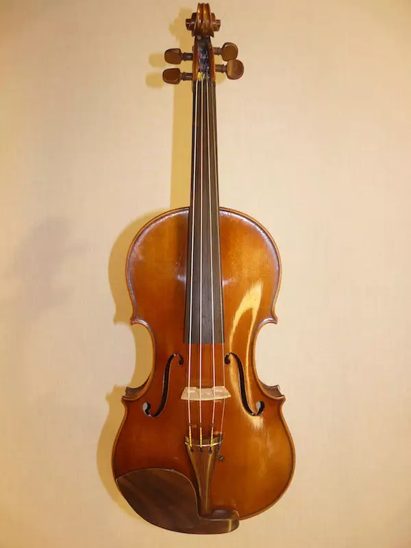 Các violin đắt nhất trên thế giới: Violins thân mến và nổi tiếng tốt nhất của thế giới và các tính năng của họ 25418_18