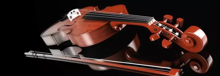 Các violin đắt nhất trên thế giới: Violins thân mến và nổi tiếng tốt nhất của thế giới và các tính năng của họ 25418_2