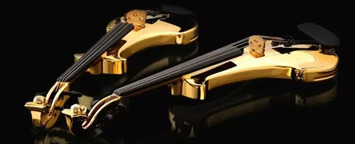 Các violin đắt nhất trên thế giới: Violins thân mến và nổi tiếng tốt nhất của thế giới và các tính năng của họ 25418_21