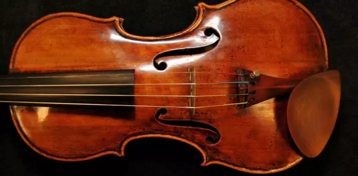 Các violin đắt nhất trên thế giới: Violins thân mến và nổi tiếng tốt nhất của thế giới và các tính năng của họ 25418_4