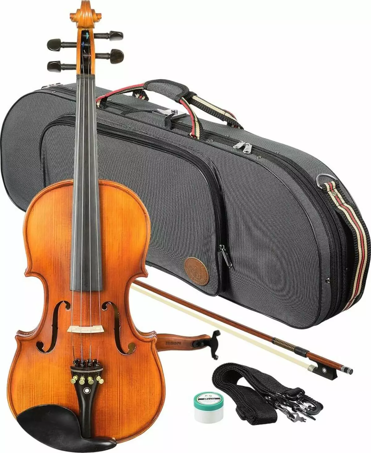 Primeri za violine: Kaj zajema shranjevanje violin? Pregled vrst in pravila izbire 25421_15