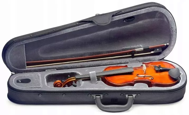Cazuri pentru viori: Ce acoperă Violinii magazinului? Revizuirea speciilor și a regulii de alegere 25421_16