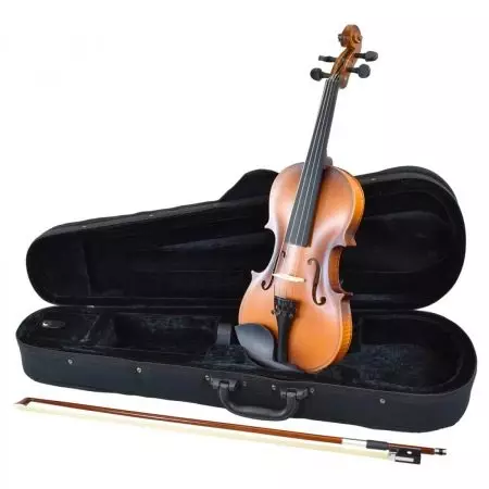 Violins को लागी केसहरु: कस्ता कभर स्टोर Violins? प्रजातिहरूको समीक्षा र छनौटको नियम 25421_2