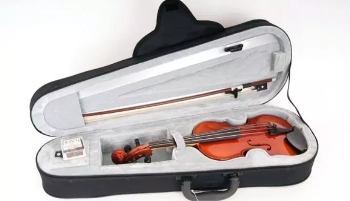 Slučajevi za violine: Šta je pokriveno store violine? Pregled vrsta i pravila izbora 25421_3