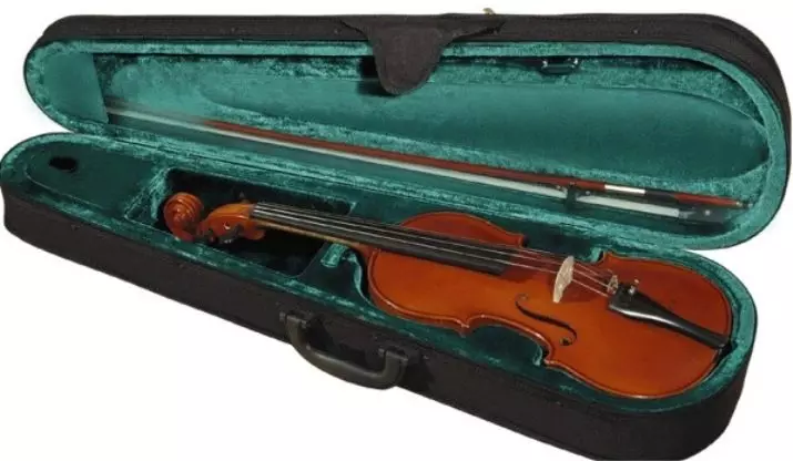 Primeri za violine: Kaj zajema shranjevanje violin? Pregled vrst in pravila izbire 25421_4