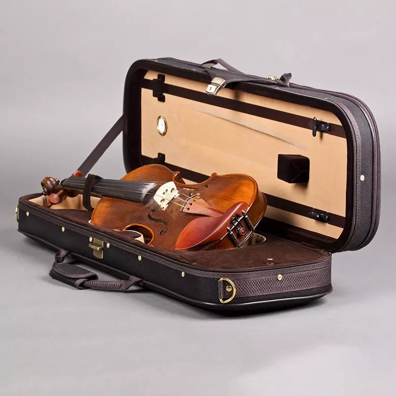 Violins को लागी केसहरु: कस्ता कभर स्टोर Violins? प्रजातिहरूको समीक्षा र छनौटको नियम 25421_5