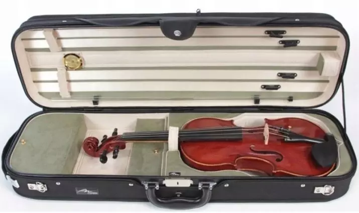 Casos per a violins: què cobreix els violins de la botiga? Revisió de les espècies i la regla d'elecció 25421_7
