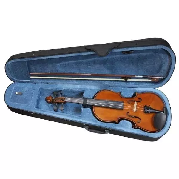 Primeri za violine: Kaj zajema shranjevanje violin? Pregled vrst in pravila izbire 25421_9