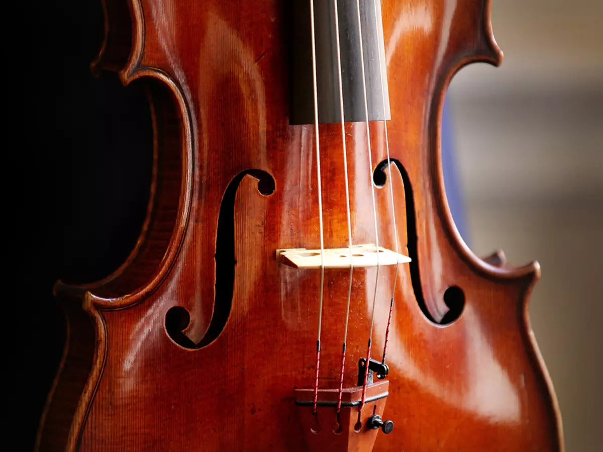 Violini (43 foto): Quante stringhe hanno uno strumento musicale? Edificio e tipi. Cosa li fa fare e come scegliere il ponte e altri accessori? Che cosa sembra? 25422_16
