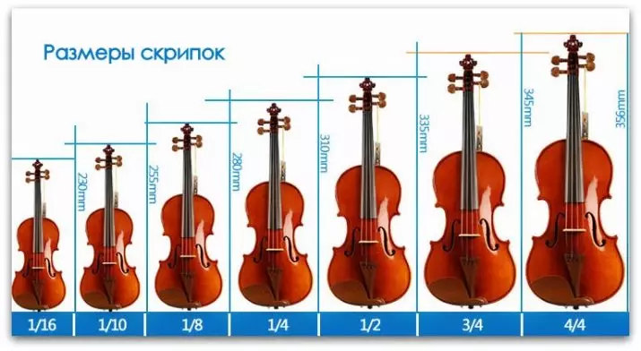 Violins (43 nuotraukos): kiek styginių yra muzikos instrumentas? Statybos ir tipų. Kas daro juos ir kaip pasirinkti tiltą ir kitus priedus? Kaip tai atrodo? 25422_22