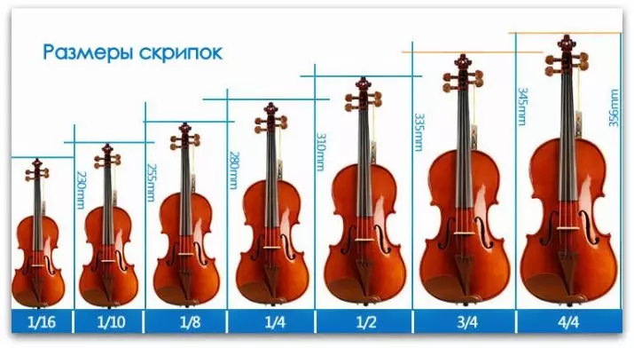 Violins (43 43 फोटोहरू): कति स्ट्रिंगहरू एक वाद्य वाद्यको उपकरण हुन्छ? निर्माण र प्रकारहरू। के गर्छ र कसरी ब्रिज र अन्य सामानहरू छनौट गर्ने के गर्दछ? यो के जस्तो देखिन्छ? 25422_22