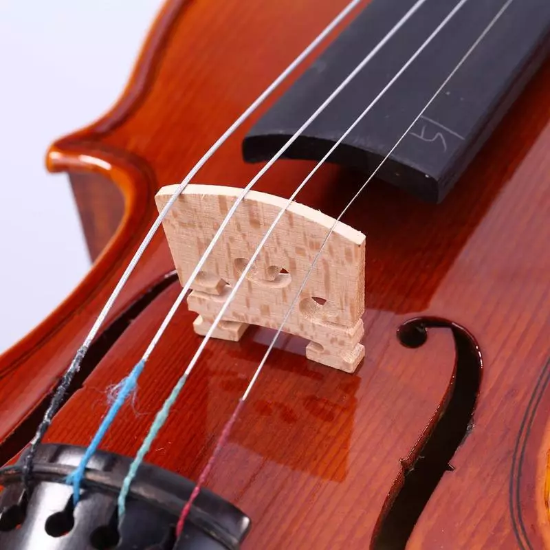 Violini (43 foto): Quante stringhe hanno uno strumento musicale? Edificio e tipi. Cosa li fa fare e come scegliere il ponte e altri accessori? Che cosa sembra? 25422_24
