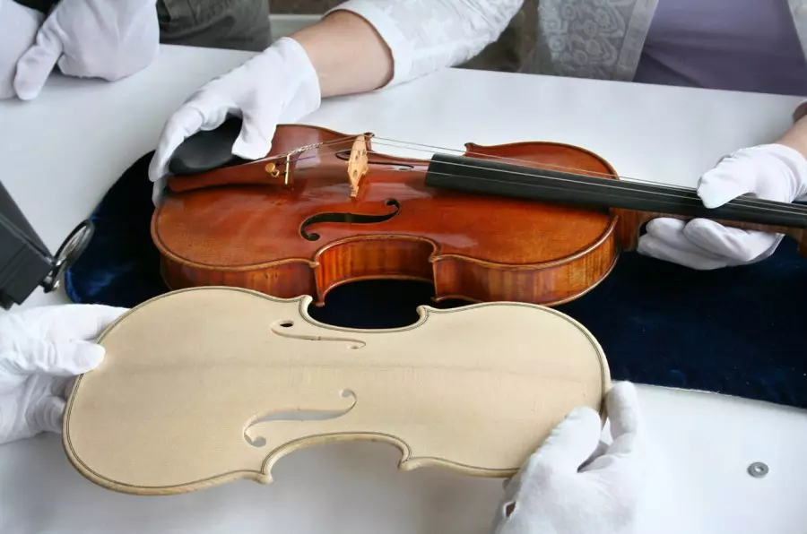 Violins (43 nuotraukos): kiek styginių yra muzikos instrumentas? Statybos ir tipų. Kas daro juos ir kaip pasirinkti tiltą ir kitus priedus? Kaip tai atrodo? 25422_26