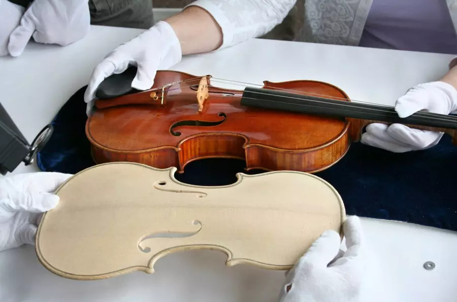 Violins (43 foto): Sa strings kanë një instrument muzikor? Ndërtesa dhe llojet. Çfarë i bën ata të bëjnë dhe si të zgjedhin urën dhe pajisje të tjera? Si duket? 25422_26