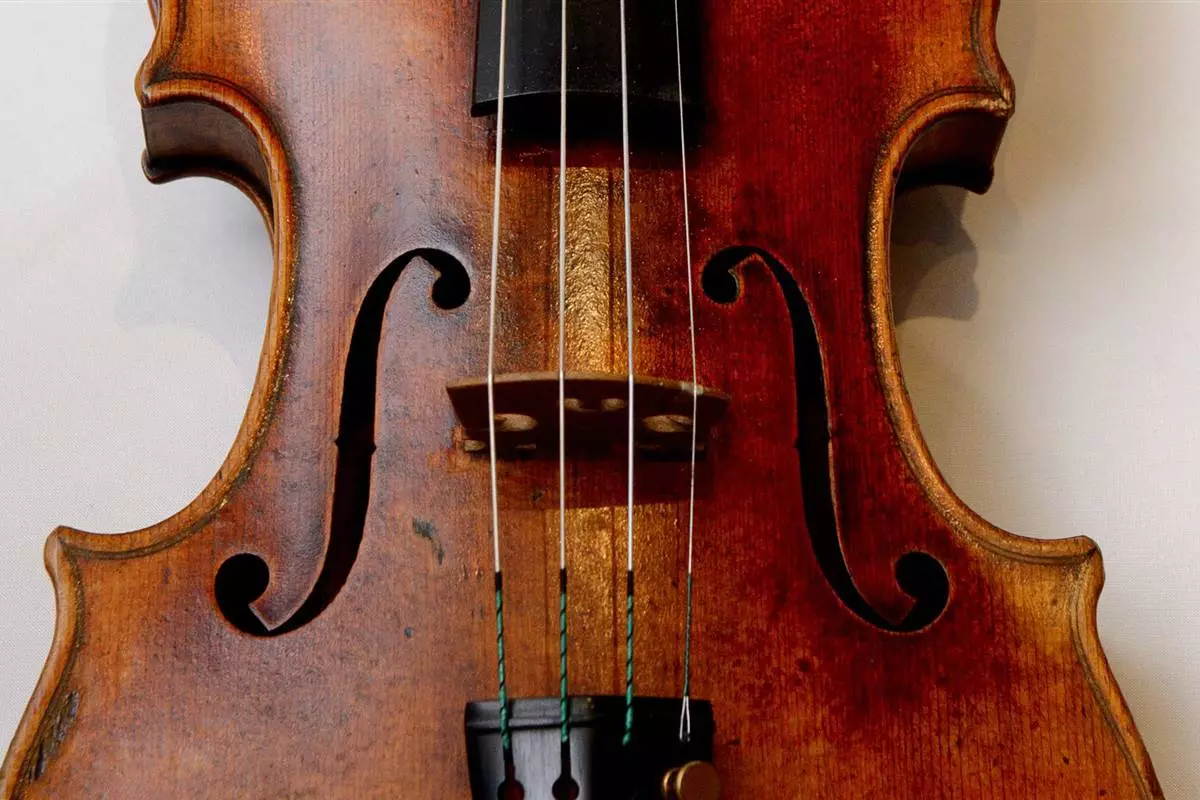 Violins (43 nuotraukos): kiek styginių yra muzikos instrumentas? Statybos ir tipų. Kas daro juos ir kaip pasirinkti tiltą ir kitus priedus? Kaip tai atrodo? 25422_27